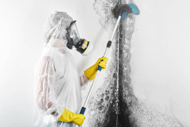 Best HVAC Mold Inspection and Cleaning  in Vancouver, WA