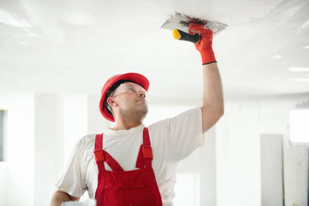 Best Water Damage & Mold Remediation  in Vancouver, WA